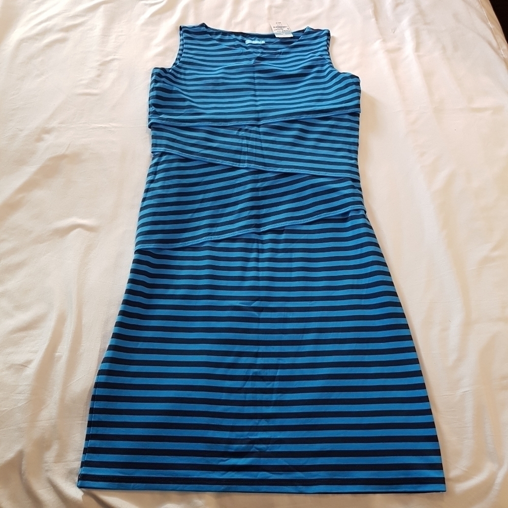 J. McLaughlin women's size small Nicola dress 2 tone blue stripe, NWT